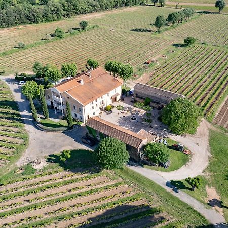 Gite Vert D'Olive Au Milieu Des Vignes - Chateau Les Apies Les Arcs-sur-Argens Buitenkant foto