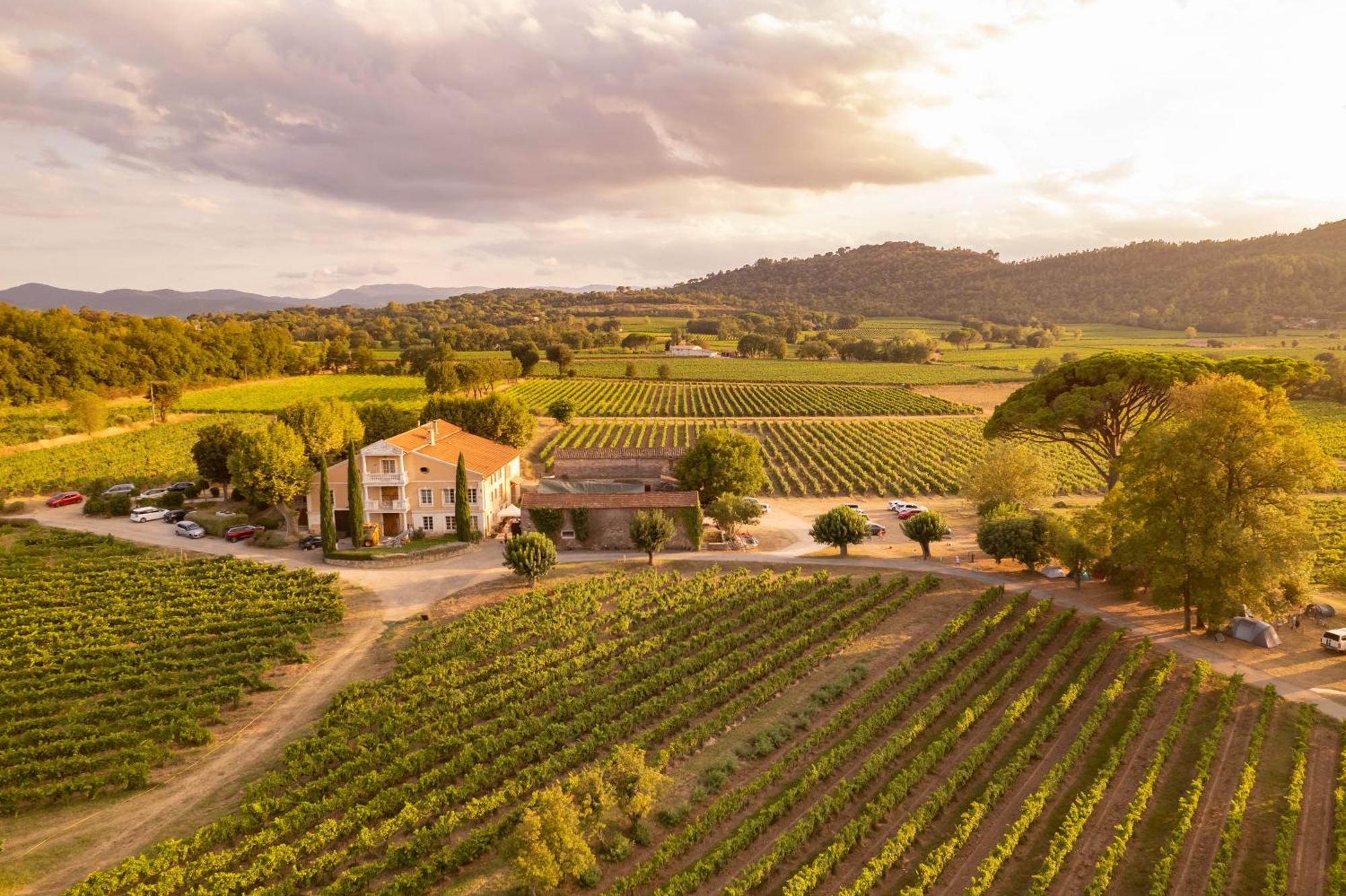 Gite Vert D'Olive Au Milieu Des Vignes - Chateau Les Apies Les Arcs-sur-Argens Buitenkant foto