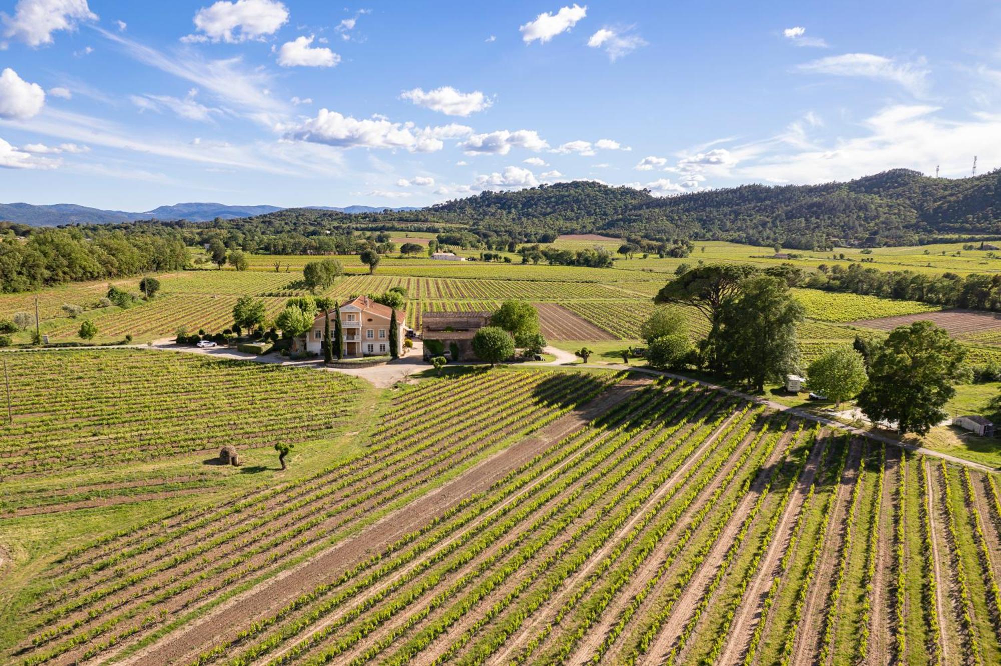 Gite Vert D'Olive Au Milieu Des Vignes - Chateau Les Apies Les Arcs-sur-Argens Buitenkant foto