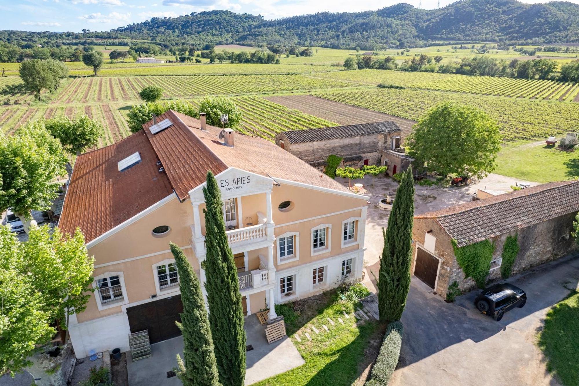 Gite Vert D'Olive Au Milieu Des Vignes - Chateau Les Apies Les Arcs-sur-Argens Buitenkant foto