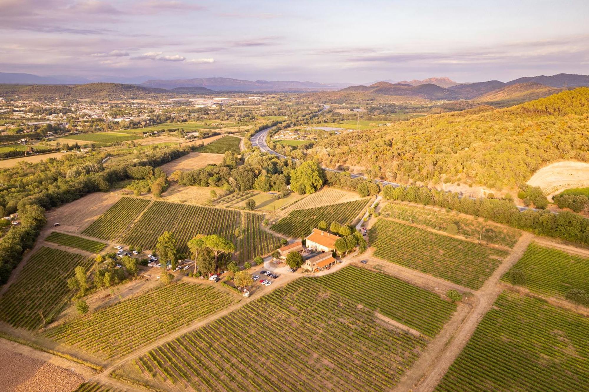 Gite Vert D'Olive Au Milieu Des Vignes - Chateau Les Apies Les Arcs-sur-Argens Buitenkant foto